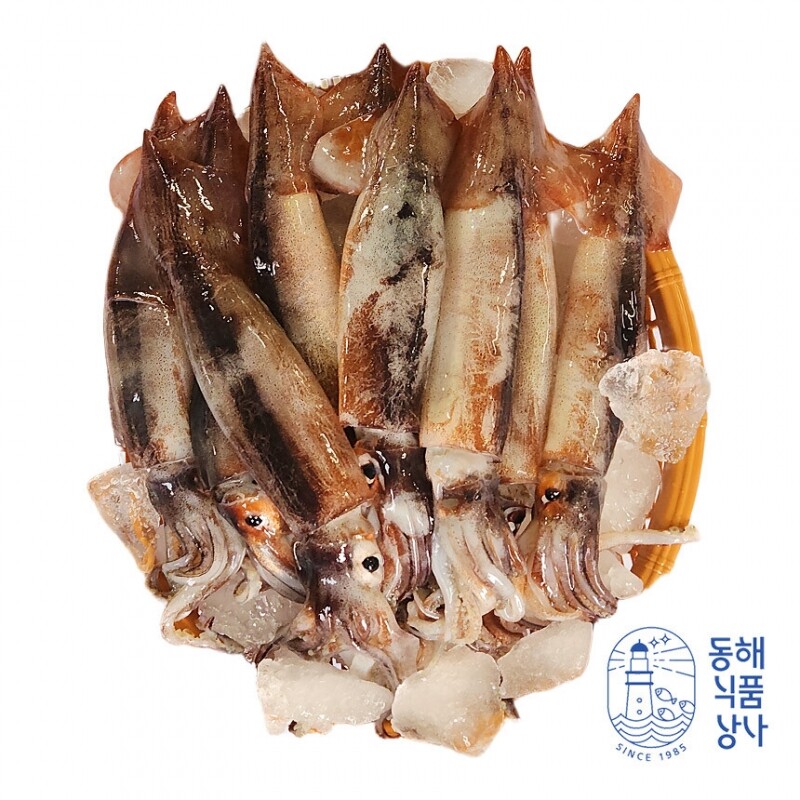 동해식품상사,[동해식품상사] 동해 당일바리 통오징어 1kg(무료배송 이벤트중)