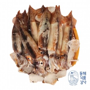 [동해식품상사] 동해 당일바리 통오징어 1kg(무료배송 이벤트중)